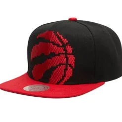 8 Bit Xl Snapback Hwc Toronto Raptors