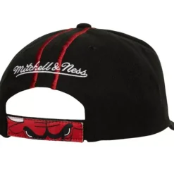 1998 Draft Pro Strapback Hwc Chicago Bulls