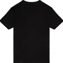 A.L. Champs Tee Tampa Bay Rays 2008