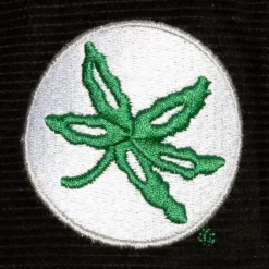 All Directions Snapback Ohio State