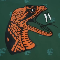 Aop Ss Top Florida A&M University