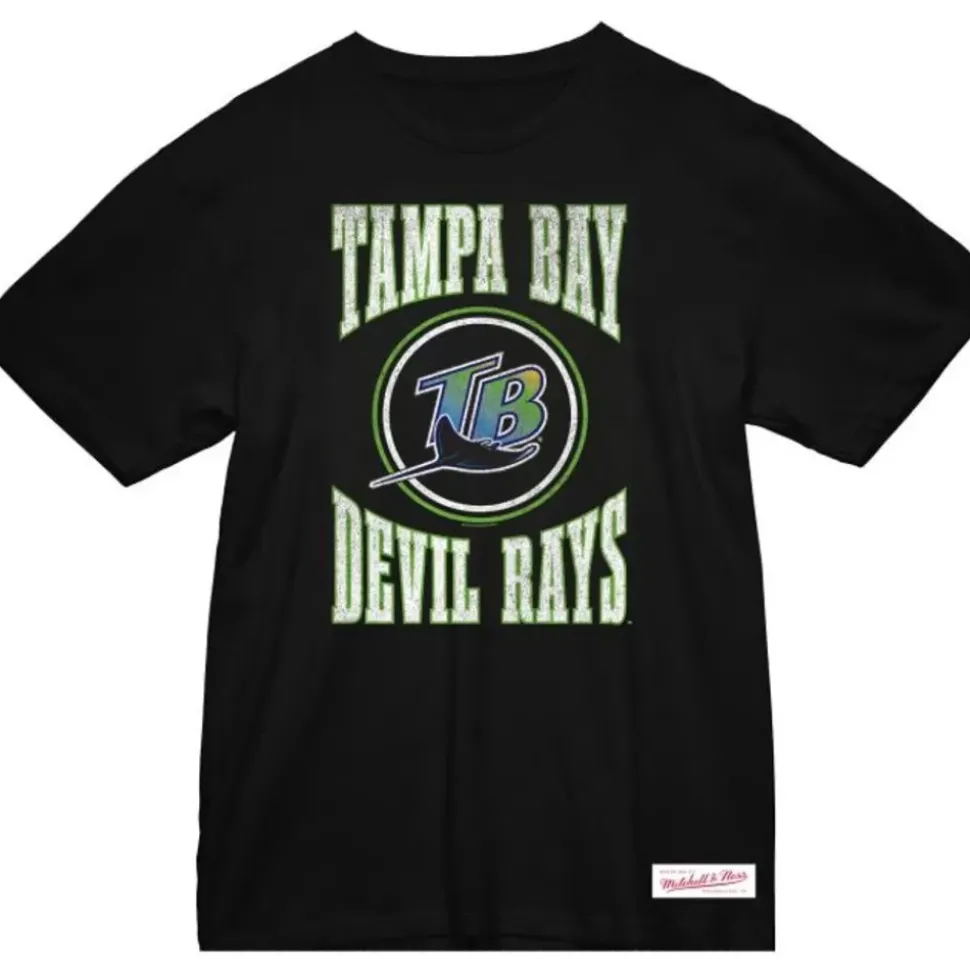 Arched Logo Slub Tee Tampa Bay Rays