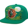 Asian Heritage Snapback Hwc Boston Celtics