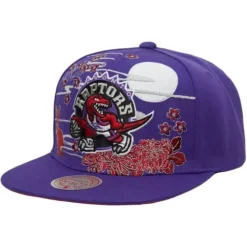 Asian Heritage Snapback Hwc Toronto Raptors