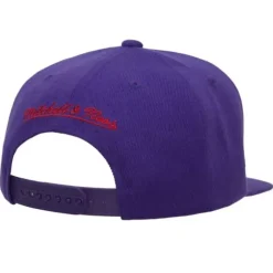 Asian Heritage Snapback Hwc Toronto Raptors