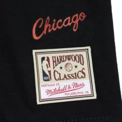 Asian Heritage Ss Tee 5.0 Chicago Bulls