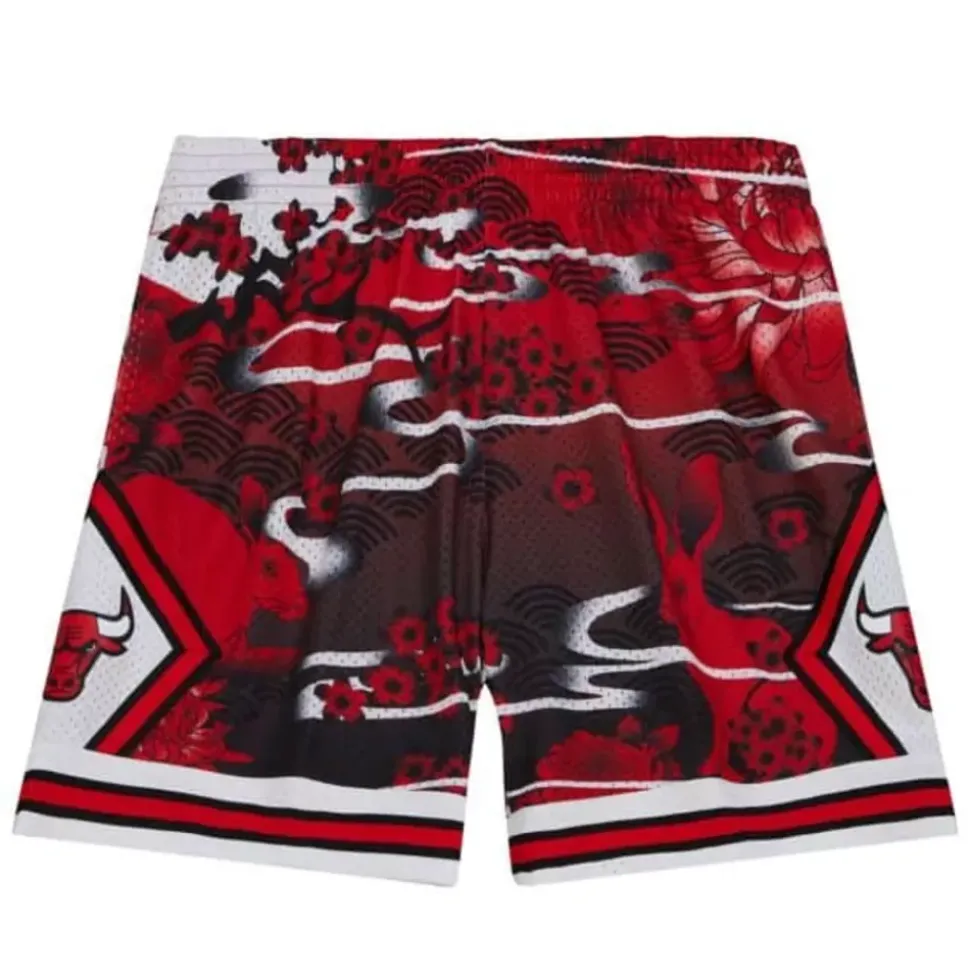 Asian Heritage Swingman Chicago Bulls 1997 Shorts 5.0