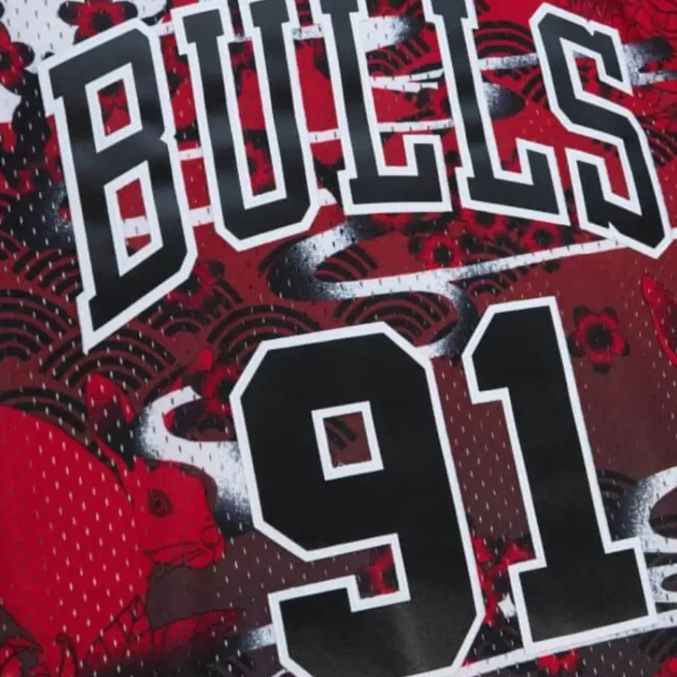 Asian Heritage Swingman Dennis Rodman Chicago Bulls 1997-98 Jersey 5.0