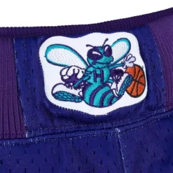 Authentic Charlotte Hornets Alternate 1994-95 Shorts