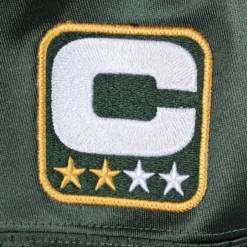 Authentic Jersey Green Bay Packers Super Bowl 2010 Charles Woodson