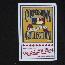 Authentic Lance Berkman Houston Astros 2002 Bp Jersey