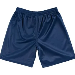 Authentic Practice Shorts Team Usa 1992