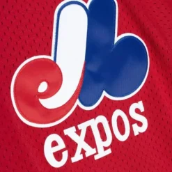 Authentic Randy Johnson Montreal Expos 1989 Pullover Jersey