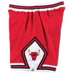Authentic Shorts Chicago Bulls Road 1975-76