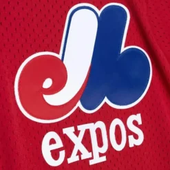 Authentic Tim Raines Montreal Expos 1989 Pullover Jersey