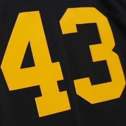 Authentic Troy Polamalu Pittsburgh Steelers Alternate 2008 Jersey