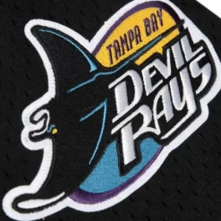 Authentic Wade Boggs Tampa Bay Rays 1998 Pullover Jersey