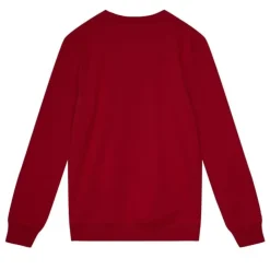 Basic Logo 2 Hoodie Buffalo Bills