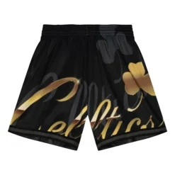 Big Face 4.0 Fashion Shorts Boston Celtics