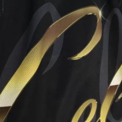 Big Face 4.0 Fashion Shorts Boston Celtics