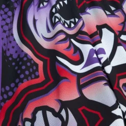 Big Face 7.0 Fashion Shorts Toronto Raptors