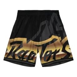 Big Face 4.0 Fashion Shorts Toronto Raptors