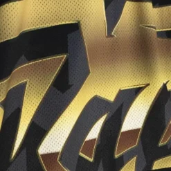 Big Face 4.0 Fashion Shorts Toronto Raptors