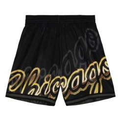 Big Face 4.0 Fashion Shorts Chicago Bulls