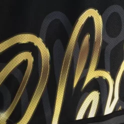 Big Face 4.0 Fashion Shorts Chicago Bulls