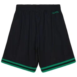 Big Face 7.0 Fashion Shorts Boston Celtics
