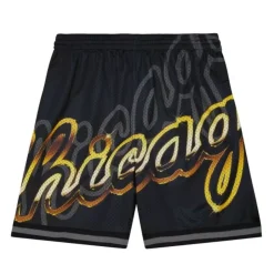 Big Face 4.0 Shorts Chicago Bulls