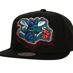 Big Face 7.0 Snapback Hwc Charlotte Hornets