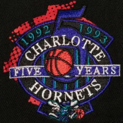 Big Face 7.0 Snapback Hwc Charlotte Hornets