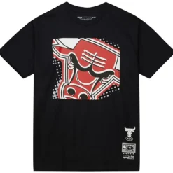 Big Face 7.0 Ss Tee Chicago Bulls