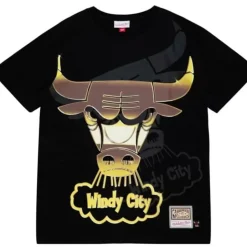 Big Face 4.0 Ss Tee Chicago Bulls