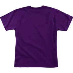 Big Face 2.0 Ss Tee Los Angeles Lakers