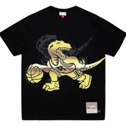 Big Face 4.0 Ss Tee Toronto Raptors