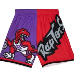 Big Face Fashion Shorts 5.0 Toronto Raptors