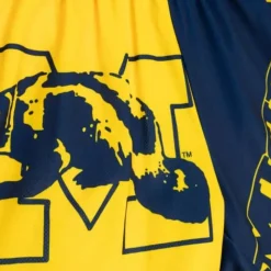 Big Face Fashion Shorts 5.0 University Of Michigan