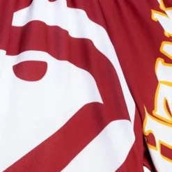 Big Face Fashion Shorts 5.0 Atlanta Hawks