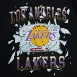 Big Face Ls Tee 6.0 Los Angeles Lakers