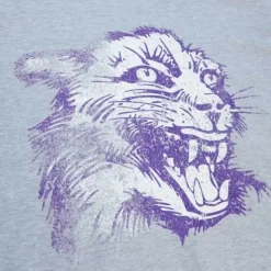 Big Logo Tee Northwestern University
