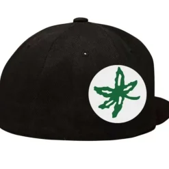 Bigback Fitted Hat Ohio State