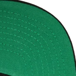 Billboard 2 Snapback Anaheim Ducks