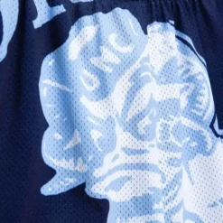 Blown Out Shorts University Of North Carolina