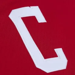 Blue Line Gordie Howe Detroit Red Wings 1960 Jersey