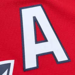 Blue Line Scott Mellanby Florida Panthers Dark 1995 Jersey