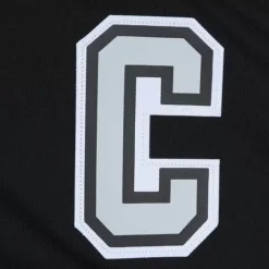 Blue Line Wayne Gretzky Los Angeles Kings 1992 Jersey