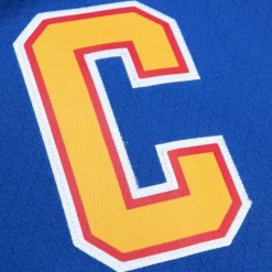 Blue Line Wayne Gretzky St. Louis Blues Dark 1995 Jersey