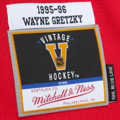 Blue Line Wayne Gretzky St. Louis Blues Dark 1995 Jersey